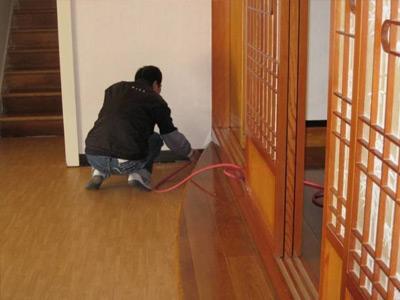 家里有該白蟻怎么辦？